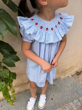 Blue Strawberry Shortcake Dress