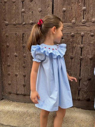 Vestido Tarta de Fresa Blue