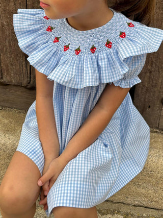 Blue Strawberry Shortcake Dress